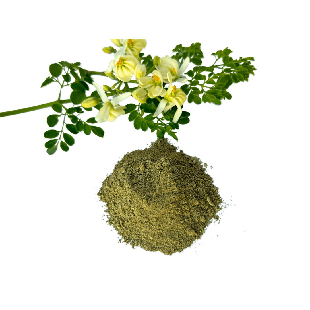 Unlocking the Benefits of Moringa Powder: Latest Research and How to Use It