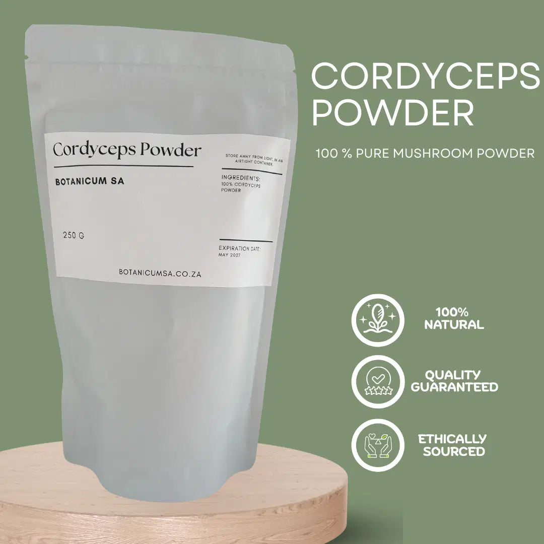 Cordyceps mushroom powder – boosts energy and enhances physical performance