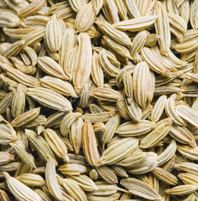 Fennel Seeds