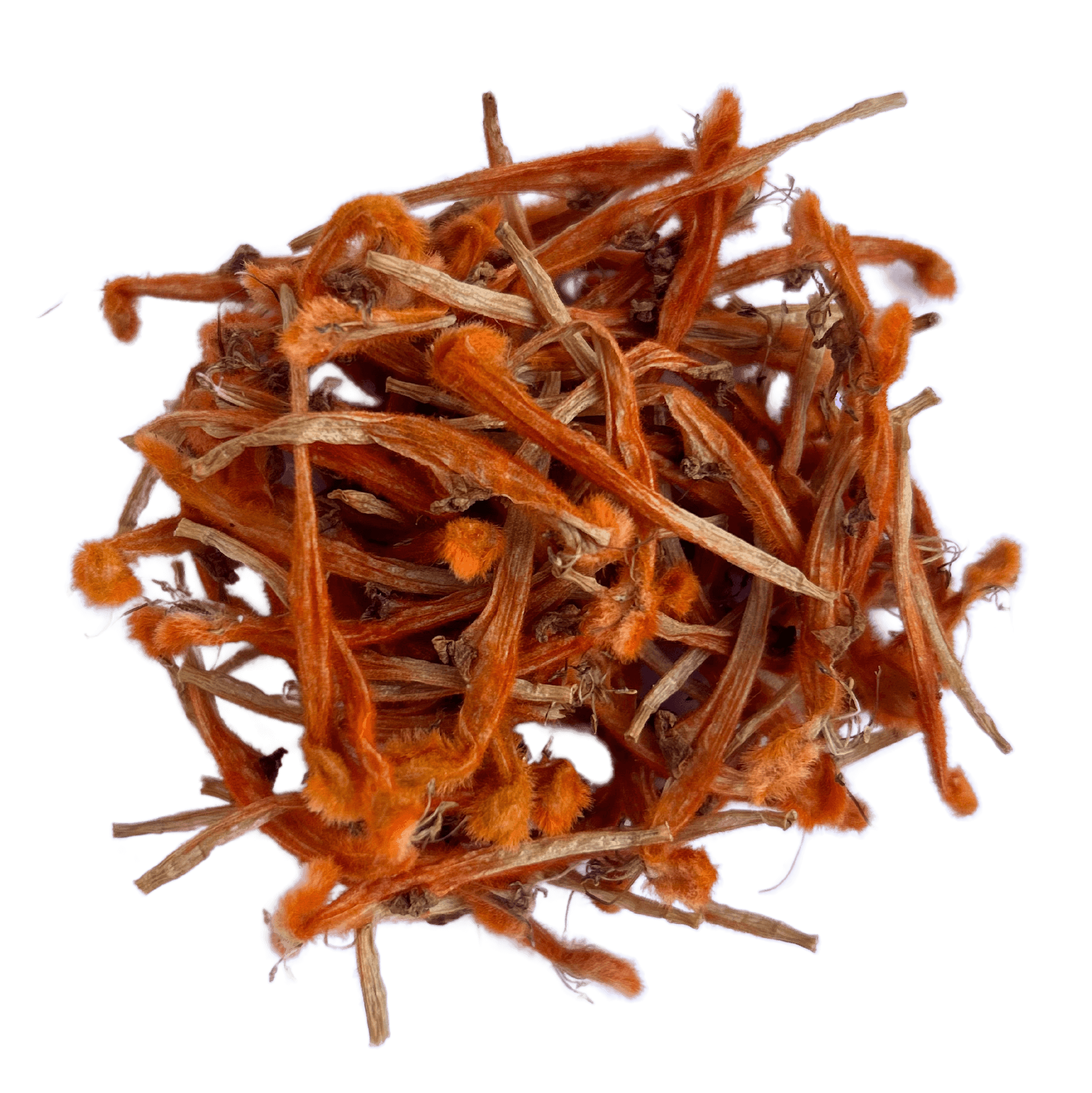 Wilde Dagga Petals (Leonotus leonurus)