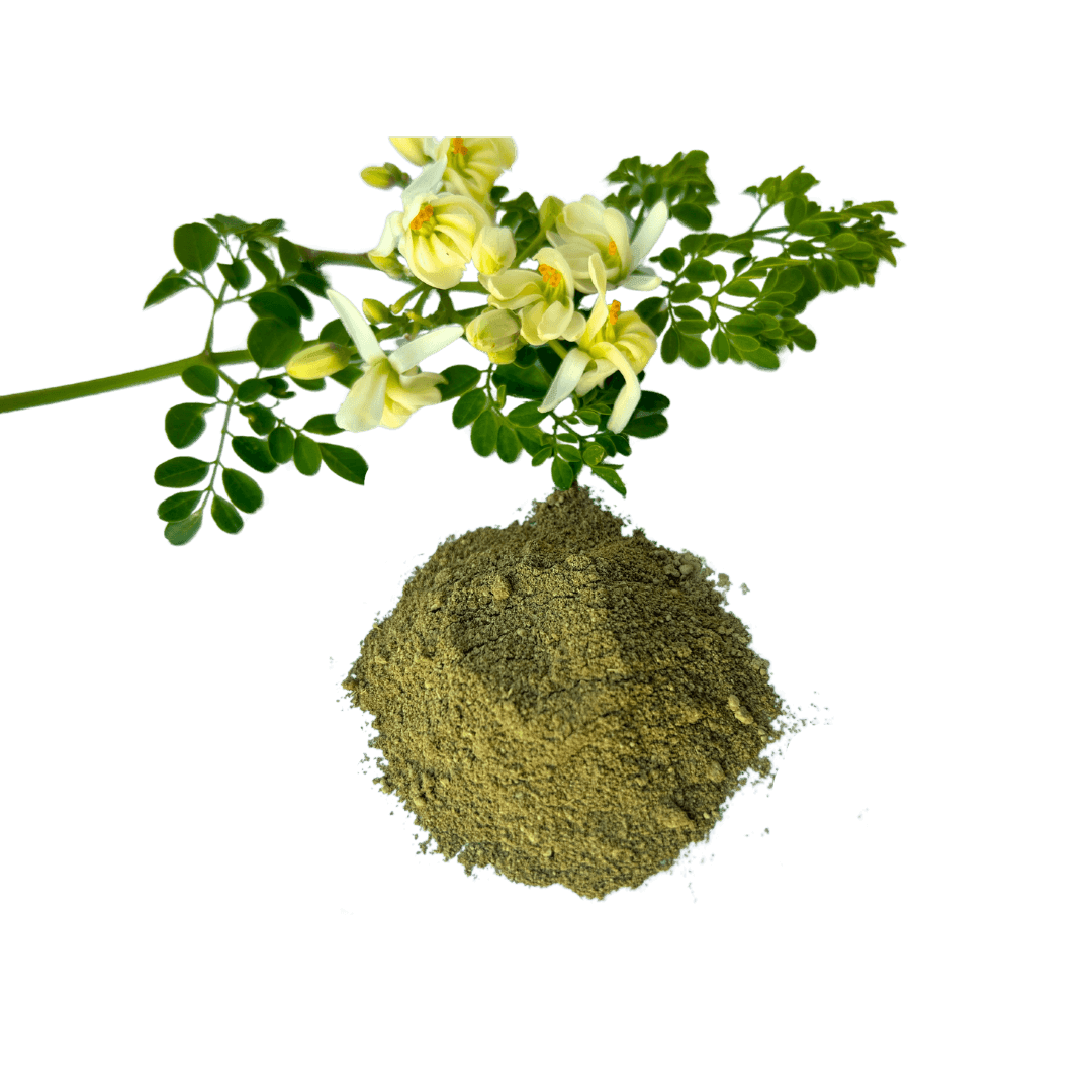 Moringa leaf powder – nutrient-rich superfood for energy, detox, and immune support - Bulk