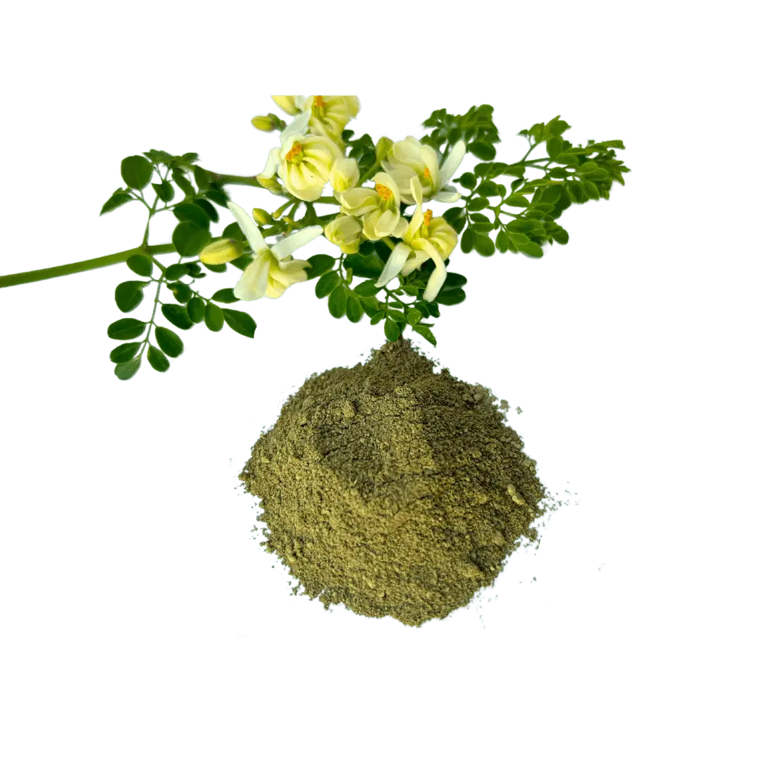 Moringa leaf powder – nutrient-rich superfood for energy, detox, and immune support - Bulk