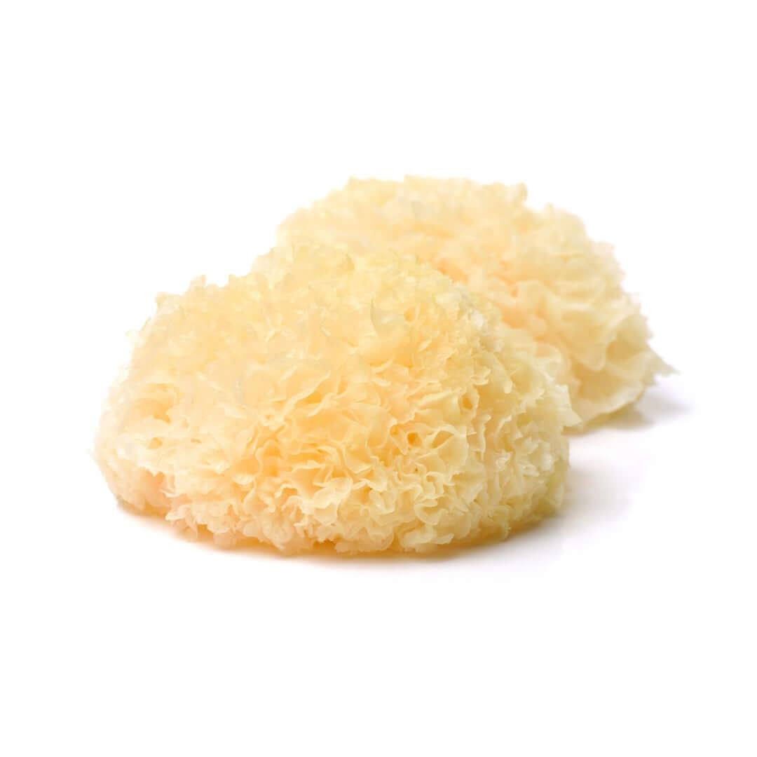 Tremella mushroom powder South Africa – hydrating mushroom for skin health and glow