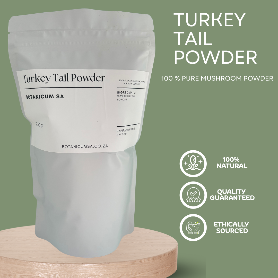 Turkey Tail mushroom powder – supports immune system health