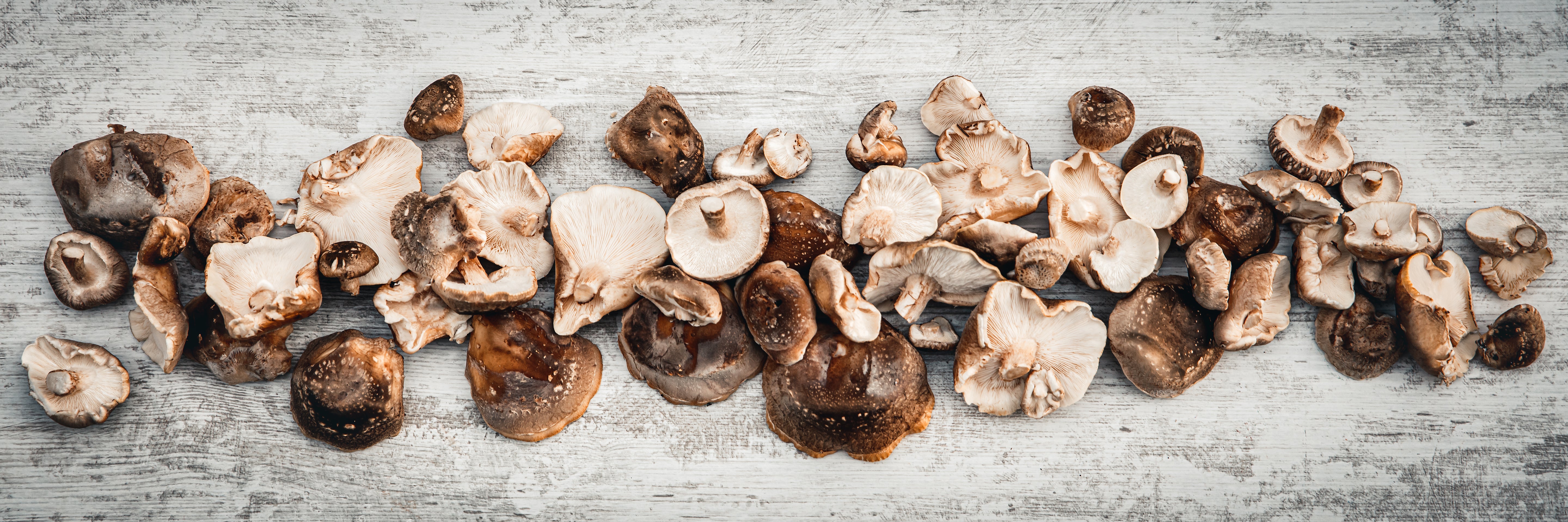 Shiitake mushrooms on a table