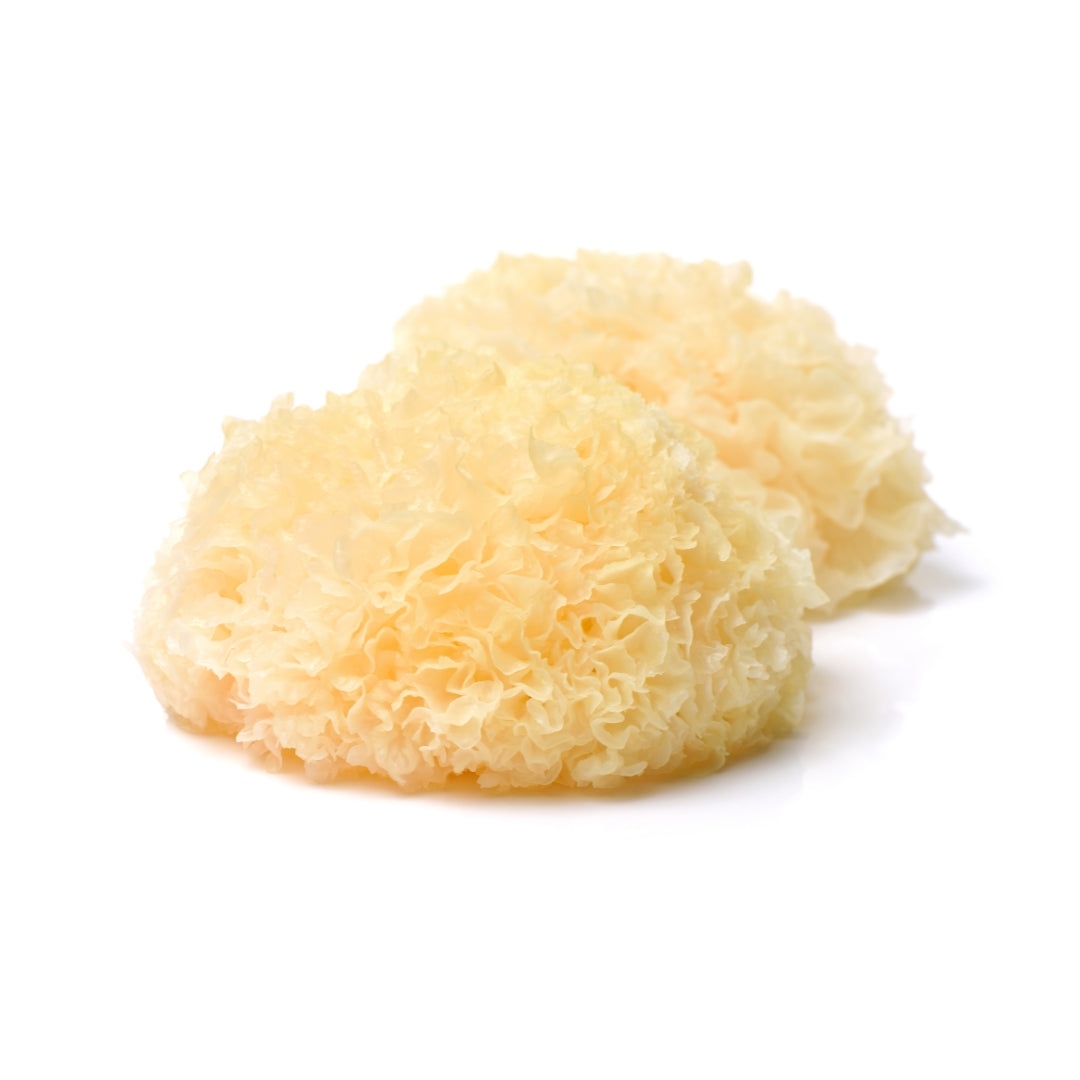 Tremella Mushroom: A Vegan Alternative to Collagen