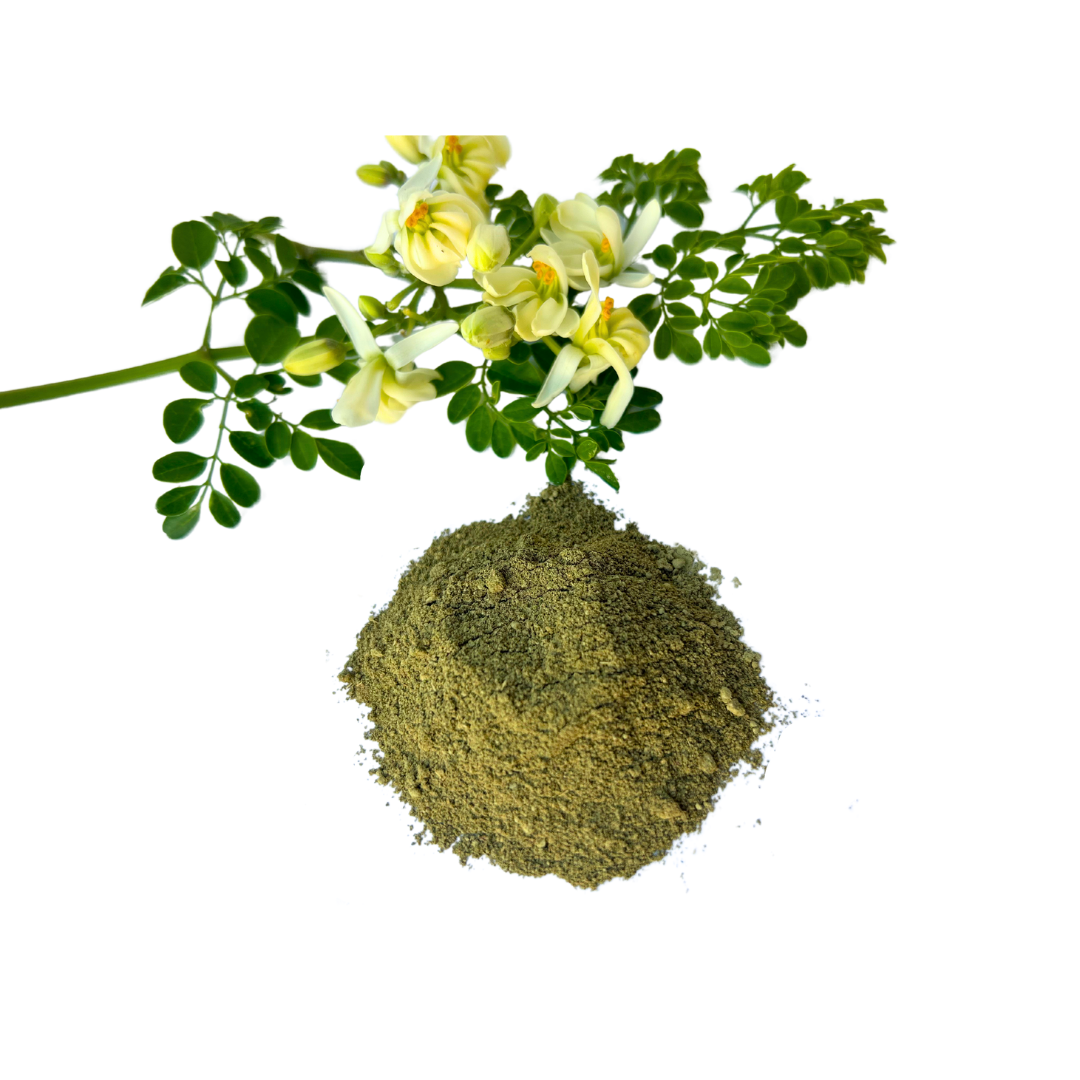 Unlocking the Benefits of Moringa Powder: Latest Research and How to Use It