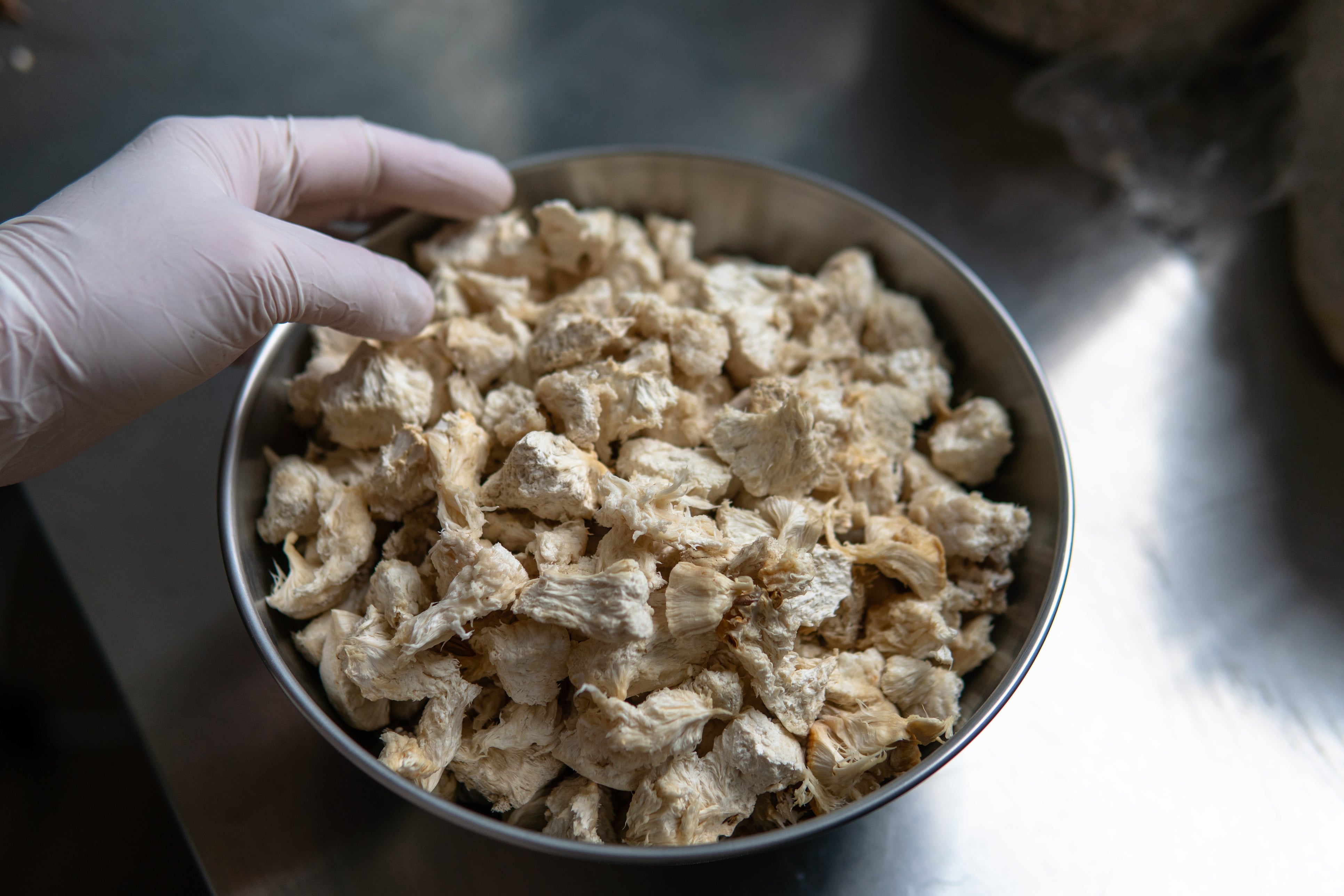 Exploring Lion's Mane Mushroom as a Complementary Treatment for Parkinson's Disease