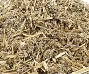 African Woodworm (Artemisia afra) - Tea Cut