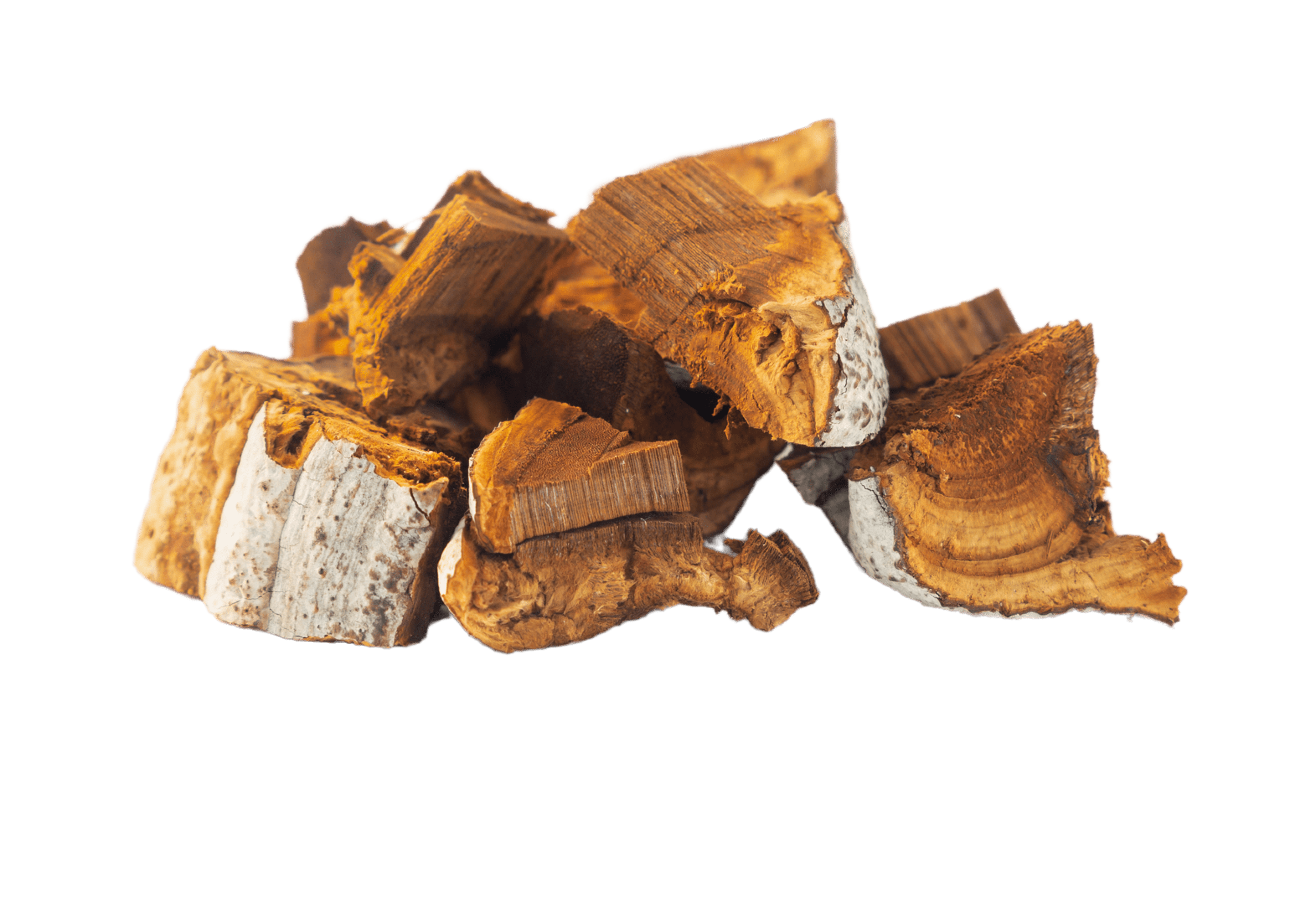 Chaga Powder - Botanicum SA