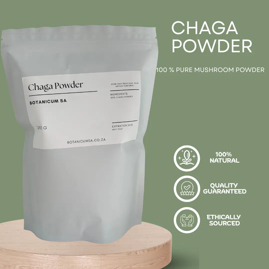 Chaga mushroom powder – powerful antioxidant for immune support