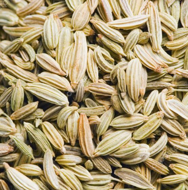 Fennel Seeds