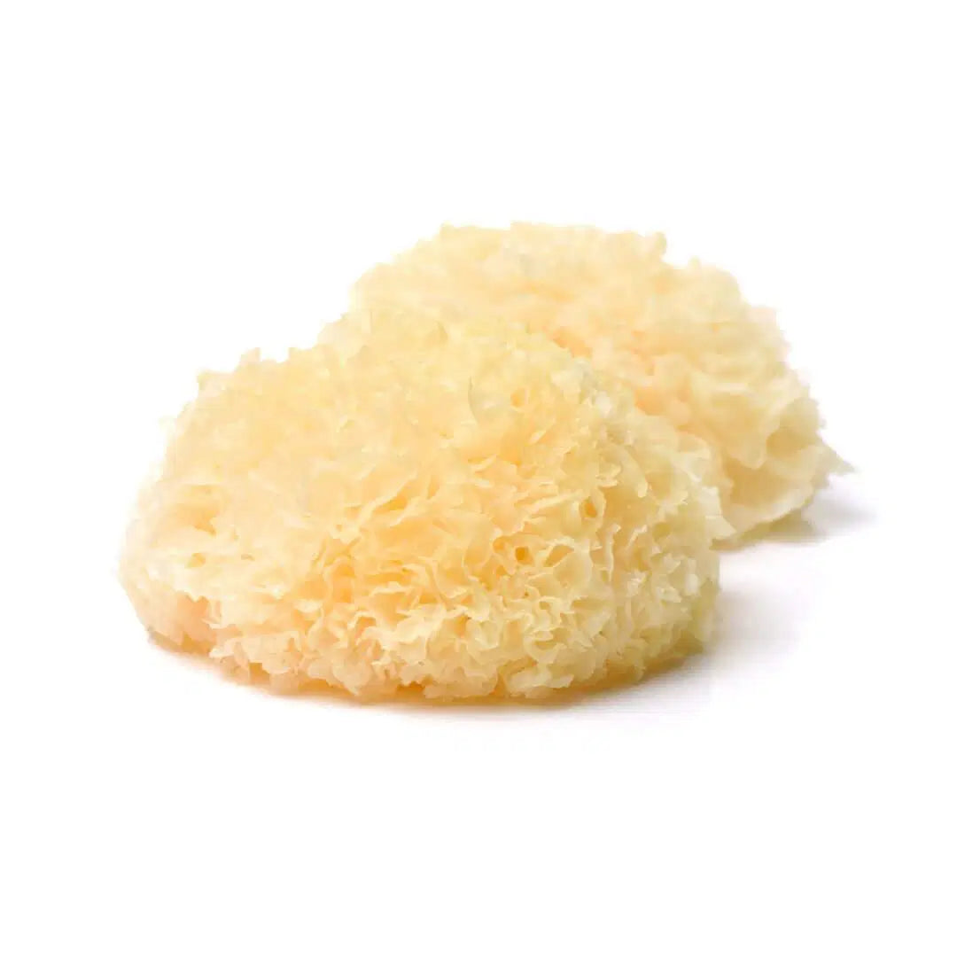 Tremella mushroom powder South Africa – hydrating mushroom for skin health and glow